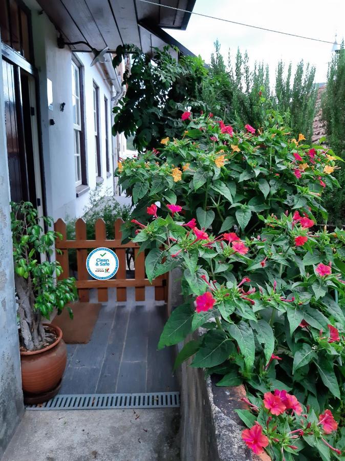 Casa Do Sr. Falcao Miranda do Corvo Eksteriør bilde