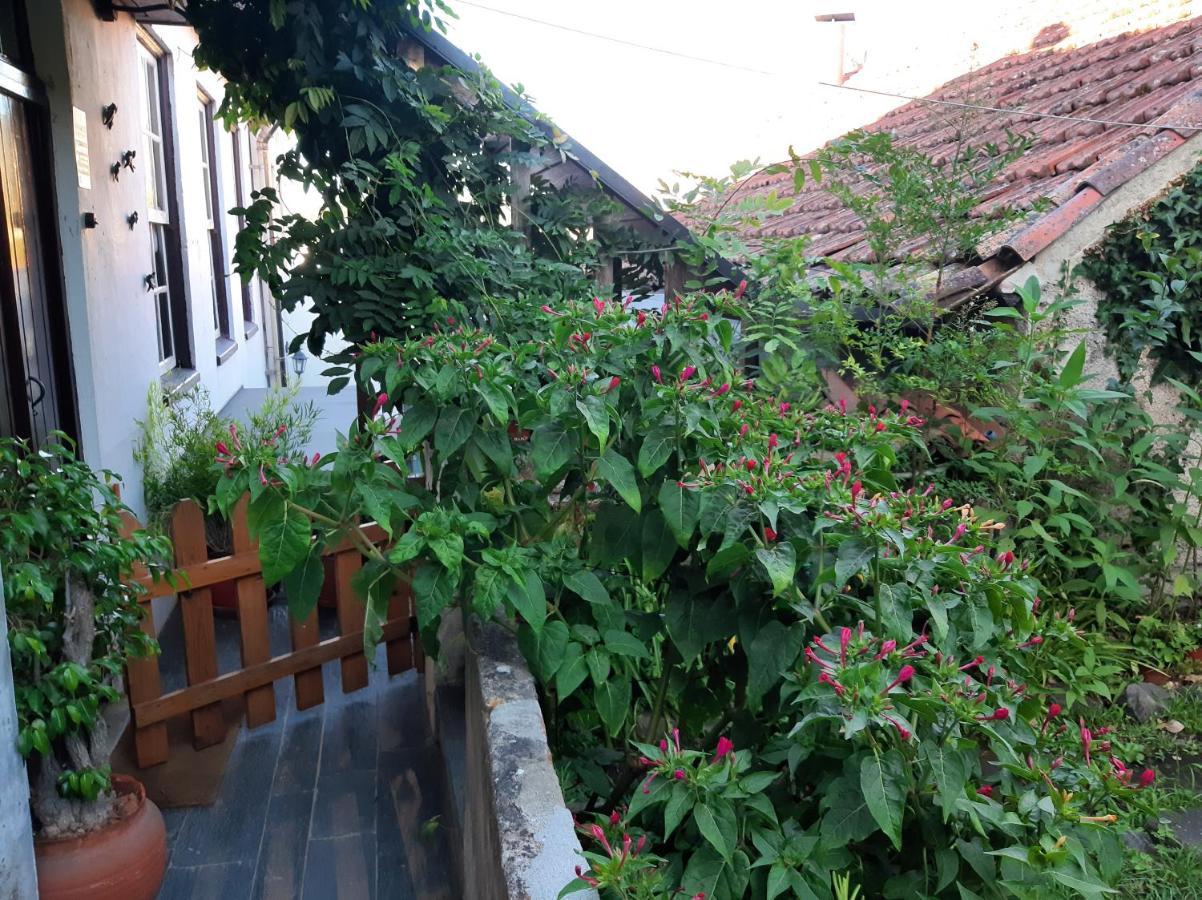 Casa Do Sr. Falcao Miranda do Corvo Eksteriør bilde