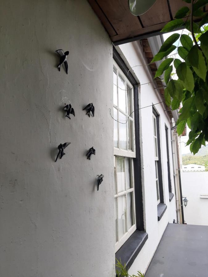 Casa Do Sr. Falcao Miranda do Corvo Eksteriør bilde