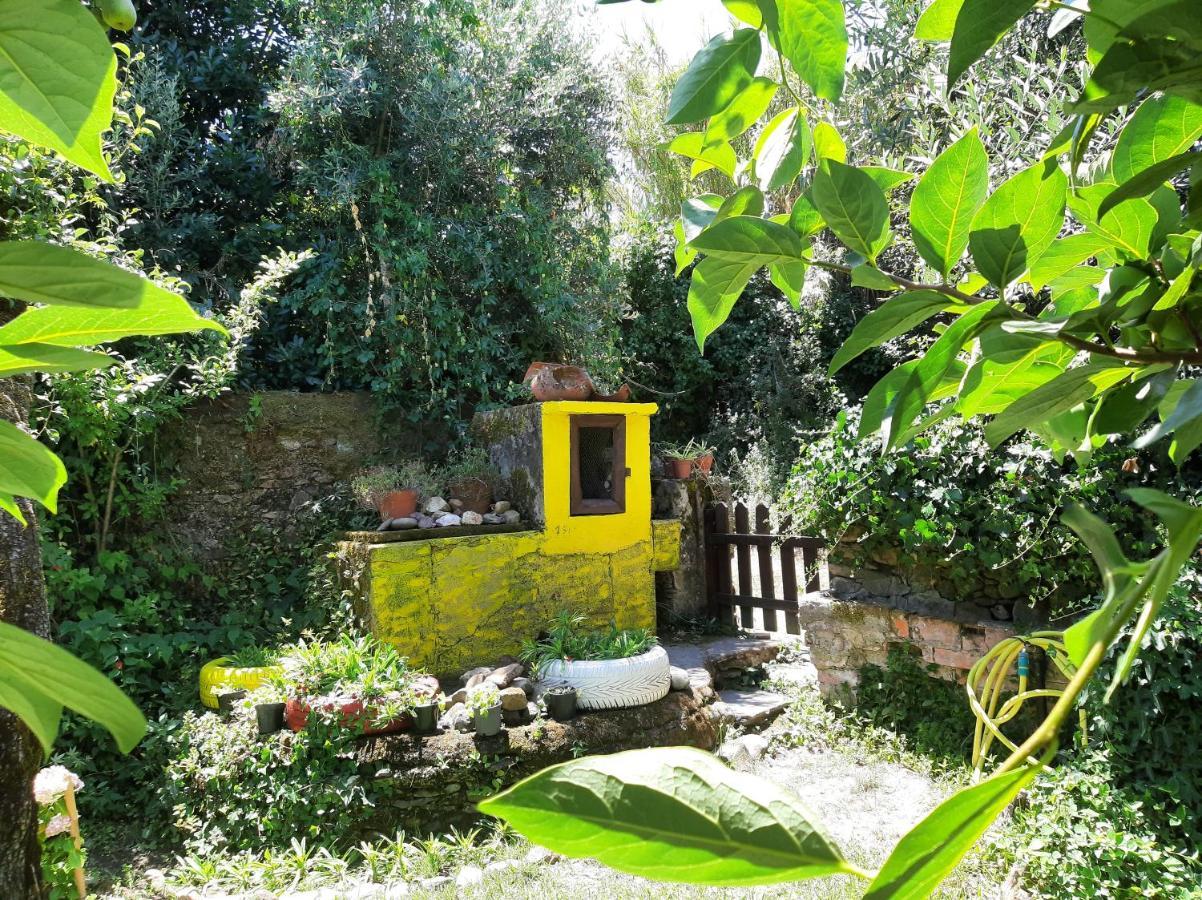 Casa Do Sr. Falcao Miranda do Corvo Eksteriør bilde