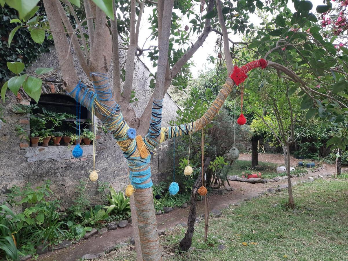 Casa Do Sr. Falcao Miranda do Corvo Eksteriør bilde