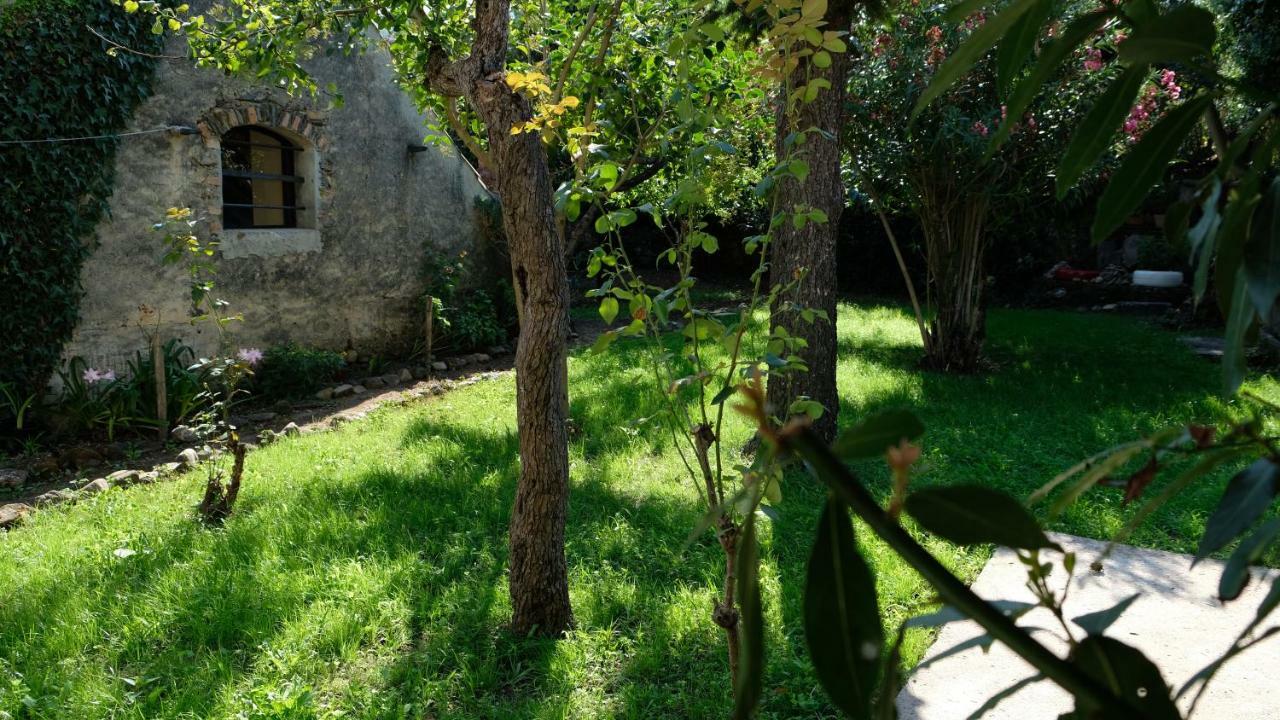 Casa Do Sr. Falcao Miranda do Corvo Eksteriør bilde