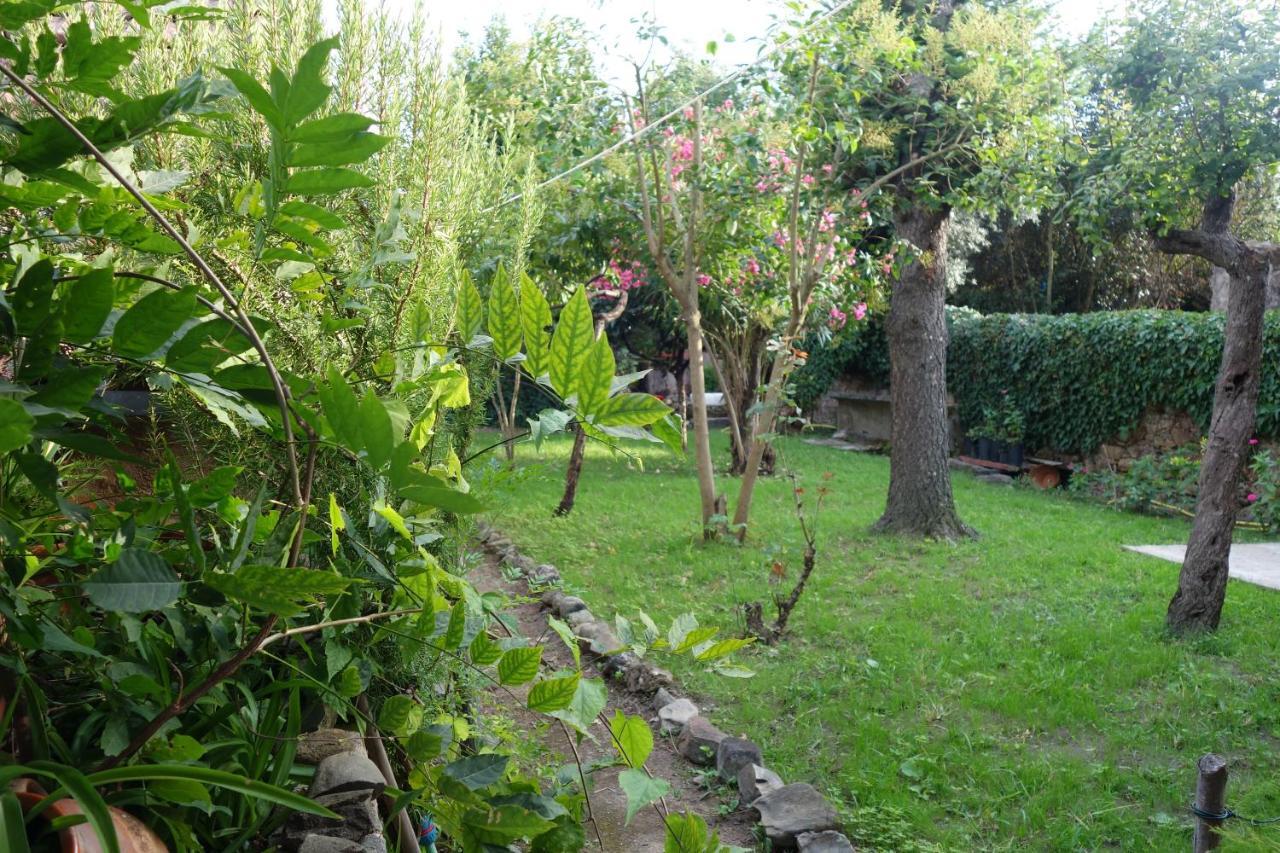 Casa Do Sr. Falcao Miranda do Corvo Eksteriør bilde